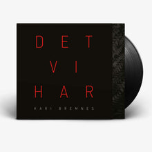 Load image into Gallery viewer, Det vi har - (2LP)