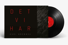 Load image into Gallery viewer, Det vi har - (2LP)